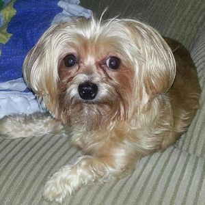 Meet your Posher, Donna